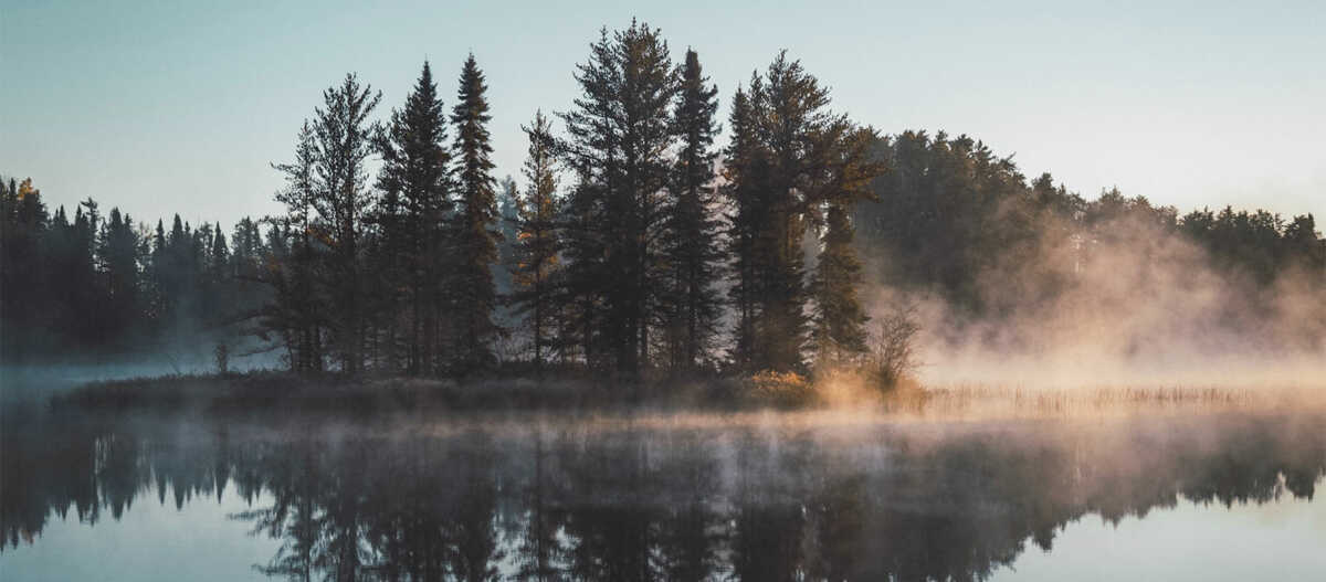Serene image of trees by a lake at sunrise.